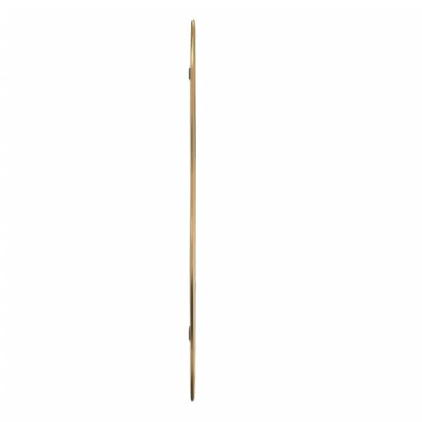 Väggspegel guld 60x25 cm
