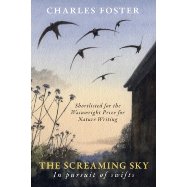 The Screaming Sky (häftad, eng)