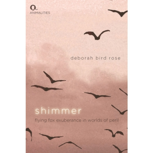 Shimmer (häftad, eng)