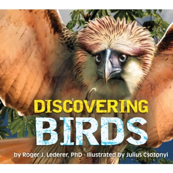 Discovering Birds (inbunden, eng)