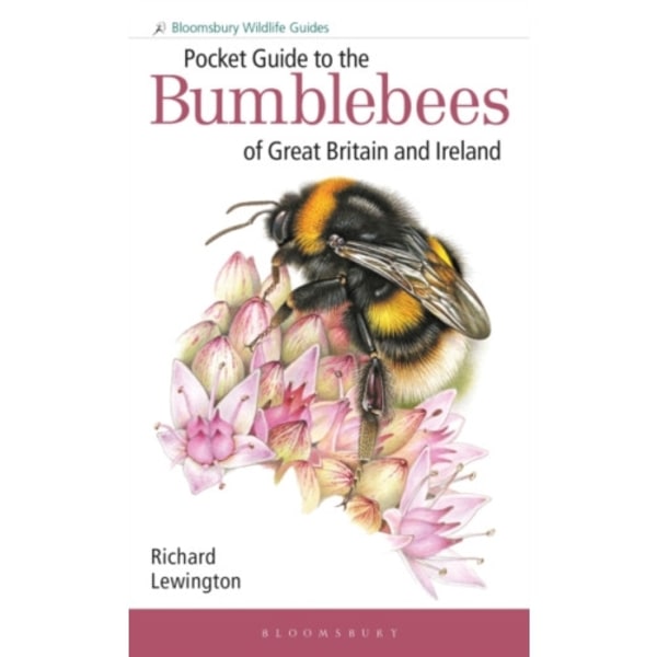 Pocket Guide to the Bumblebees of Great Britain and Ireland (häftad, eng)