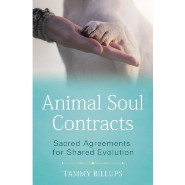 Animal Soul Contracts (häftad, eng)