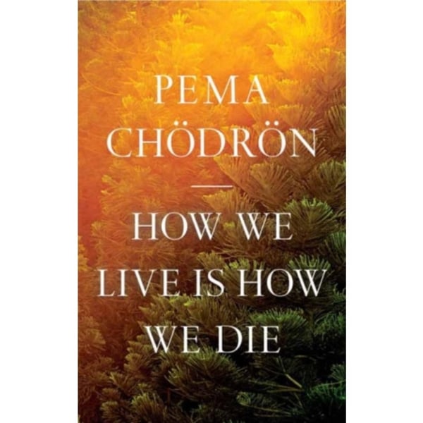 How We Live Is How We Die (inbunden, eng)