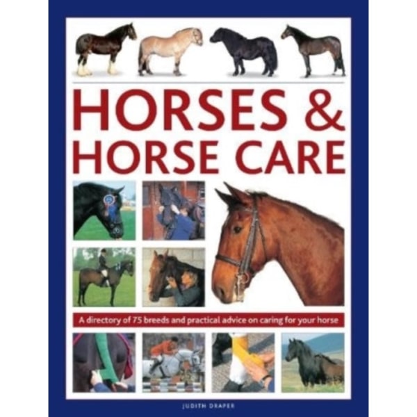 Horses & Horse Care (inbunden, eng)