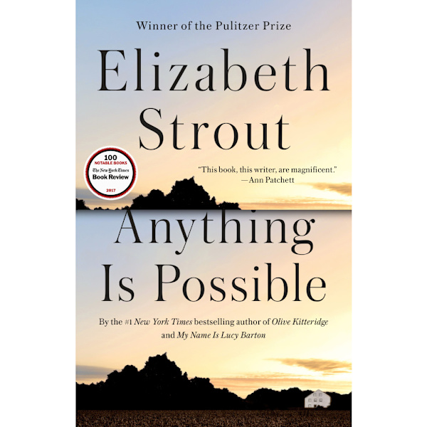 Anything Is Possible (bok, storpocket, eng)
