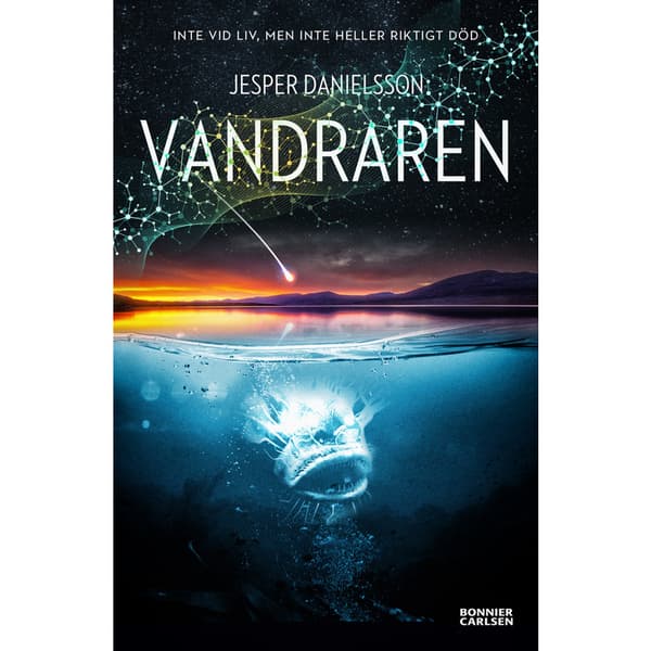 Vandraren (bok, danskt band)