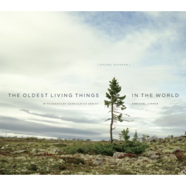 The Oldest Living Things in the World (inbunden, eng)