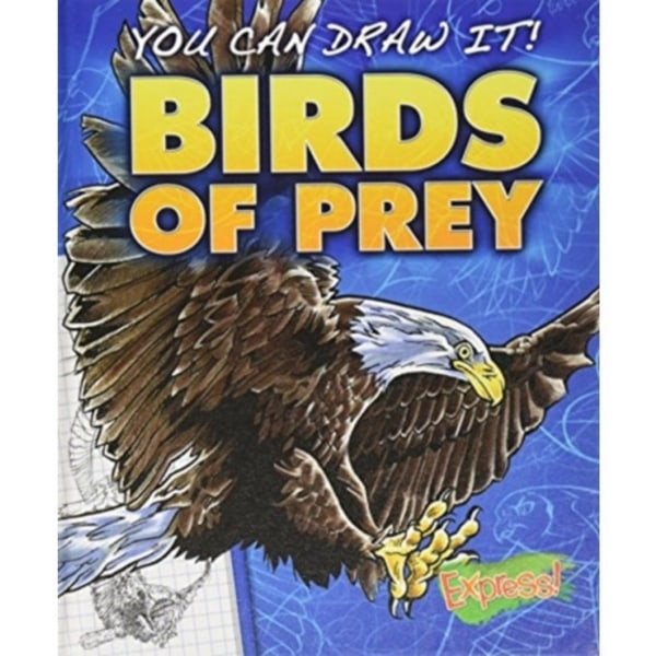 Birds of Prey (inbunden, eng)