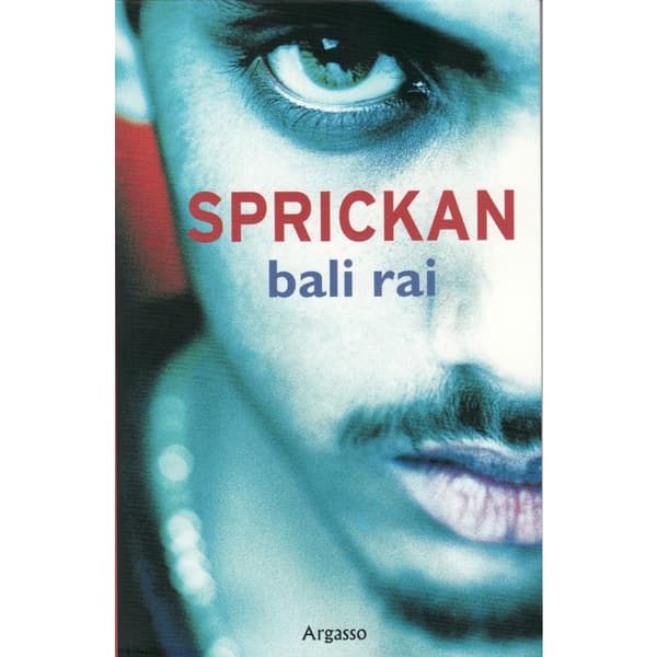 Sprickan (häftad)