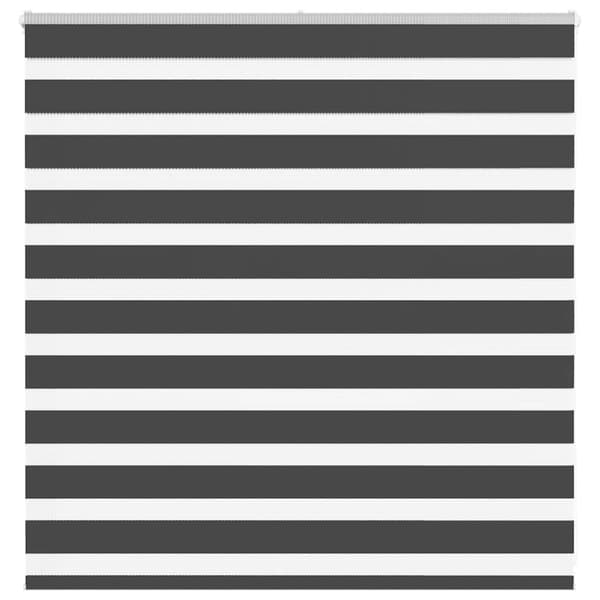 Zebra rullgardin svart 150x100 cm tyg bredd 145,9 cm polyester
