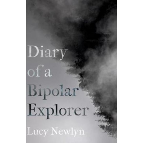 Diary of a Bipolar Explorer (häftad, eng)