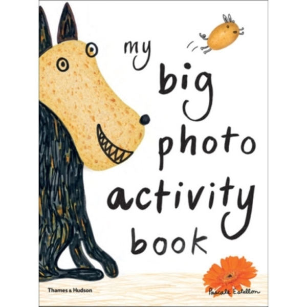 My Big Photo Activity Book (häftad, eng)