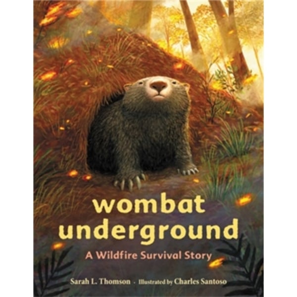 Wombat Underground (inbunden, eng)