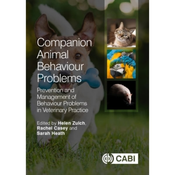 Companion Animal Behaviour Problems (häftad, eng)