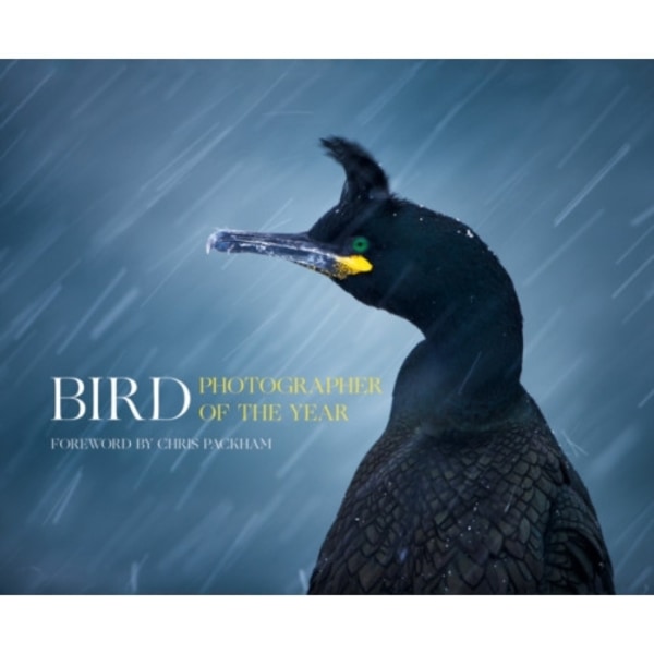 Bird Photographer of the Year (inbunden, eng)