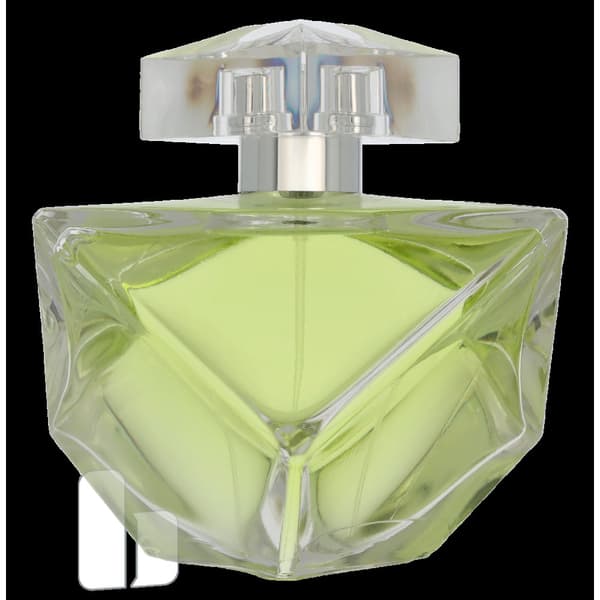 Britney Spears Believe Edp Spray 100 ml Dam