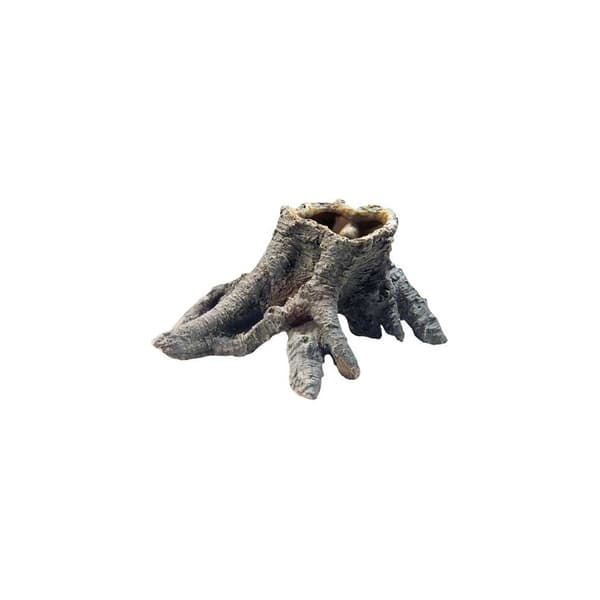 Stump Cavity 1 Brun
