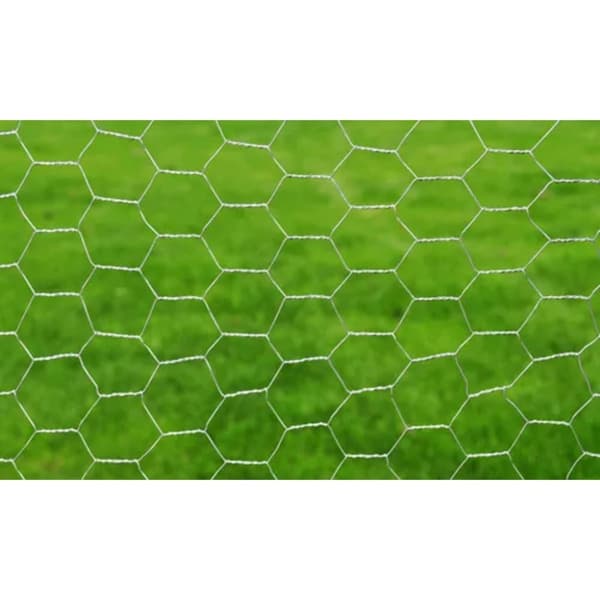 Hönsnät galvaniserat stål 25x0,5 m silver