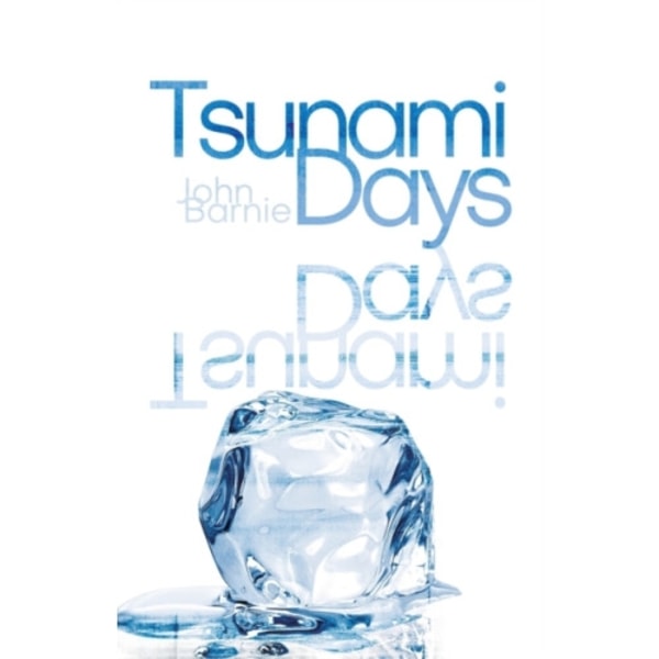 Tsunami Days (häftad, eng)