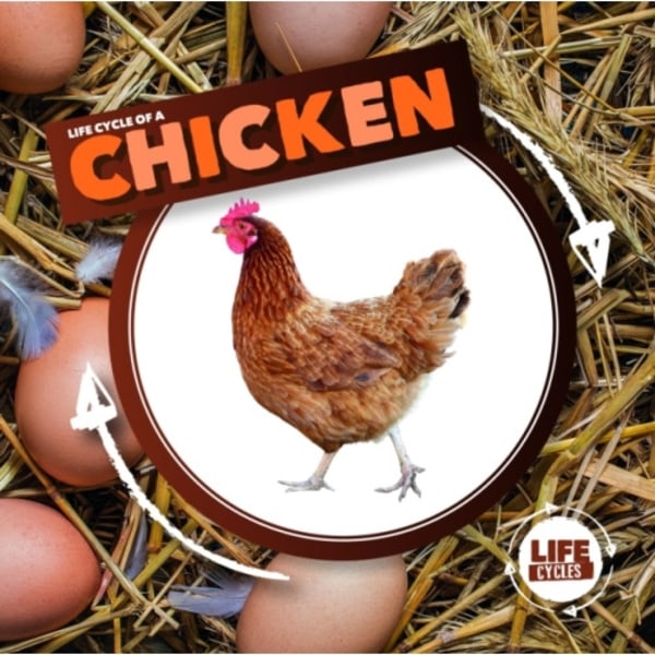 Life Cycle of a Chicken (inbunden, eng)
