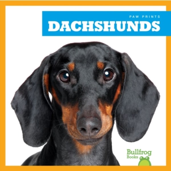 Dachshunds (inbunden, eng)