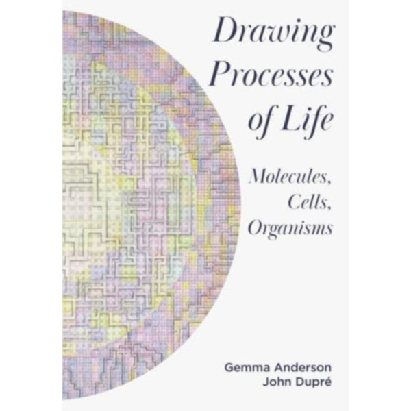 Drawing Processes of Life (häftad, eng)