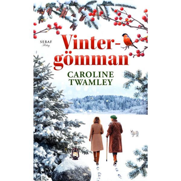 Vintergömman (bok, danskt band)