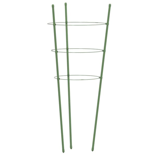 Växtstöd med 3 ringar 5 st grön 60 cm stål