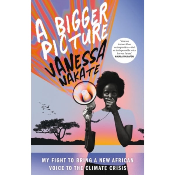 A Bigger Picture (häftad, eng)