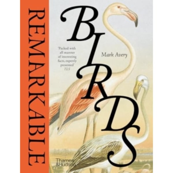 Remarkable Birds (inbunden, eng)