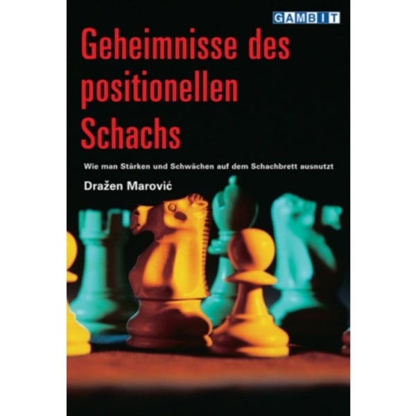 Geheimnisse Des Positionellen Schachs (häftad, ger)