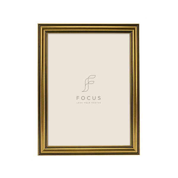 Focus Holly Gold 30x40