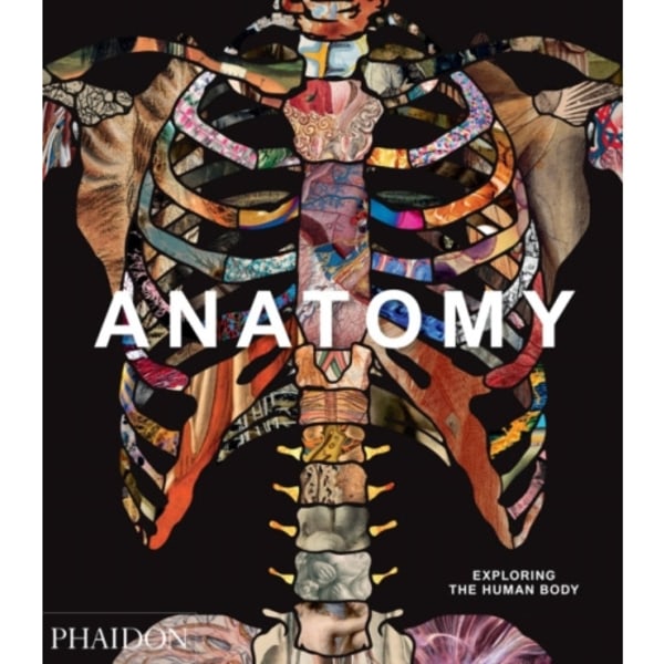 Anatomy (inbunden, eng)