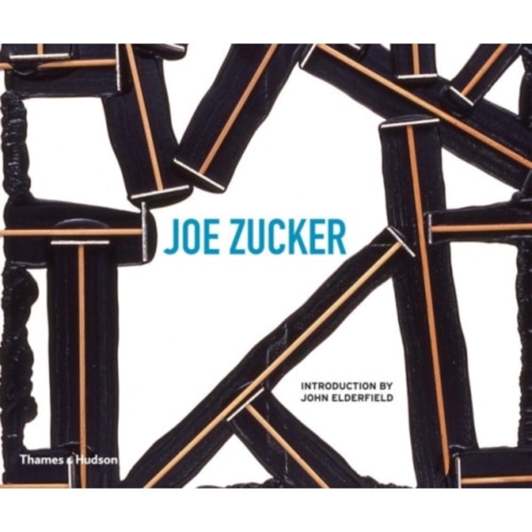 Joe Zucker (inbunden, eng)