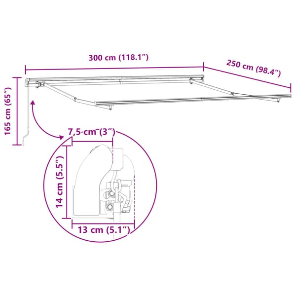 Utfällbar markis Ljusgrå 300 x 250 cm Polyester och Stål