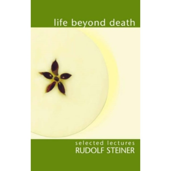 Life Beyond Death (häftad, eng)