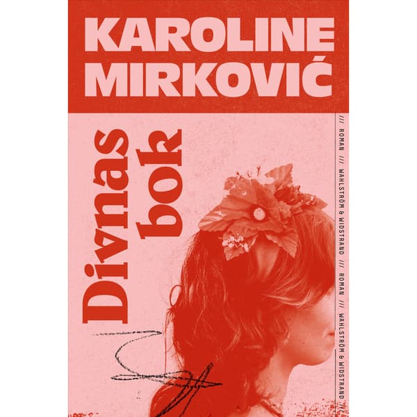 Divnas bok (inbunden)