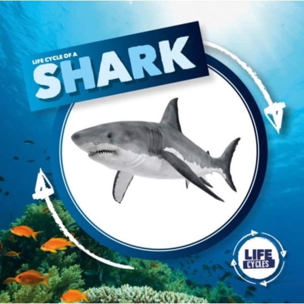 Life Cycle of a Shark (inbunden, eng)