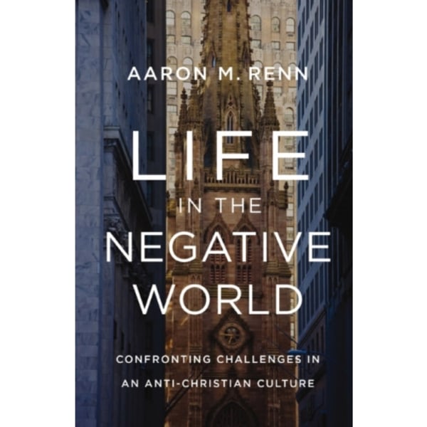 Life in the Negative World (inbunden, eng)