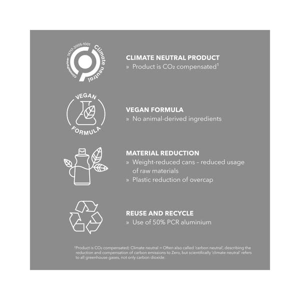 StyleSign Working Hairspray 500ml