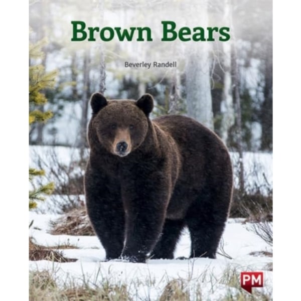 BROWN BEARS (häftad, eng)