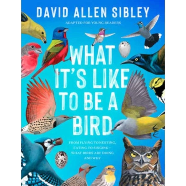 What It's Like to Be a Bird (Adapted for Young Readers) (inbunden, eng)