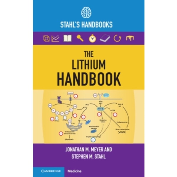The Lithium Handbook (häftad, eng)