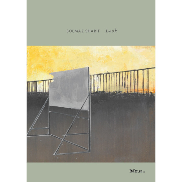Look (häftad)