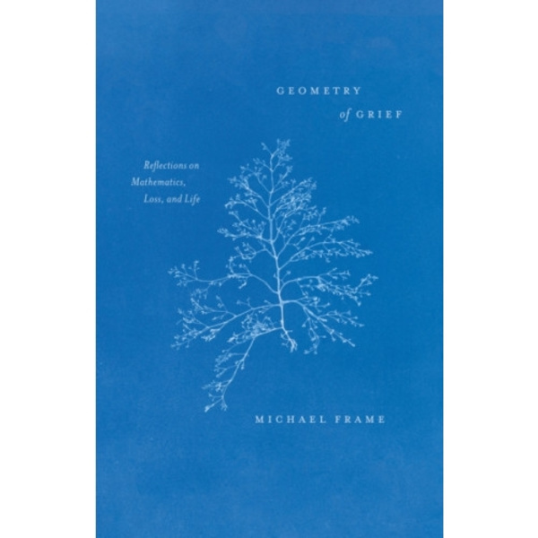 Geometry of Grief (häftad, eng)