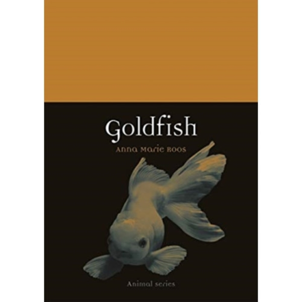 Goldfish (häftad, eng)