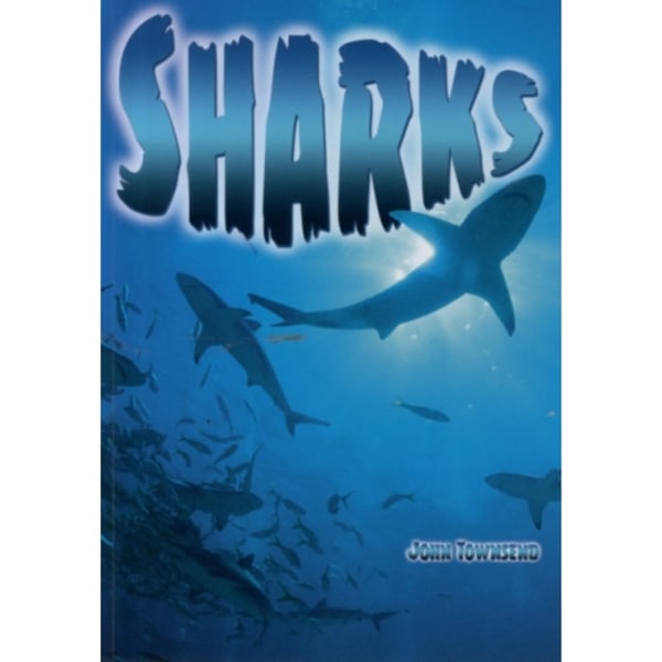 Sharks (häftad, eng)