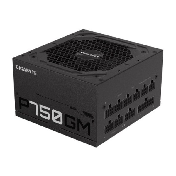 Gigabyte P750GM - nätaggregat - 750 Watt Svart