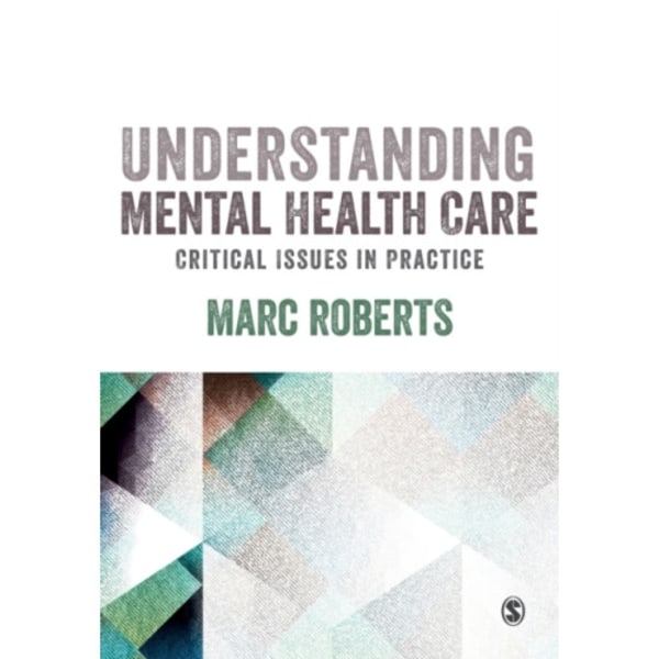 Understanding Mental Health Care: Critical Issues in Practice (häftad, eng)