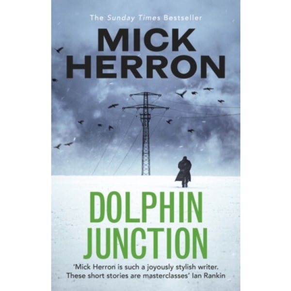 Dolphin Junction (häftad, eng)